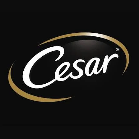 Cesar logo