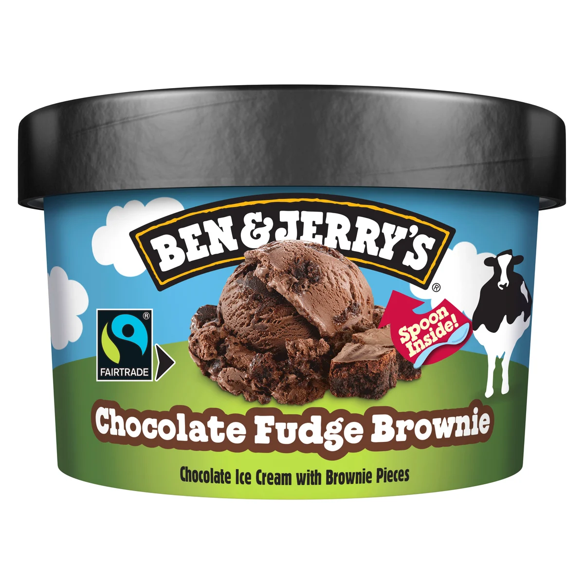 Ben & Jerry's Minicup Choco Fudge Brownie